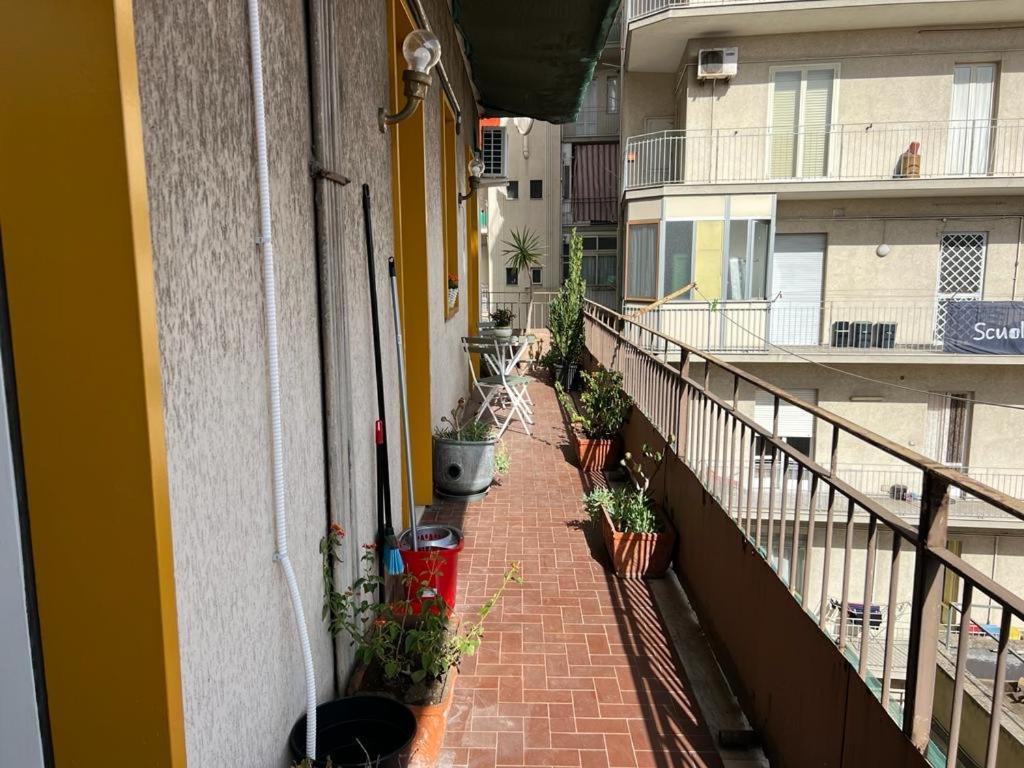 Ardizzone Gioeni Catania